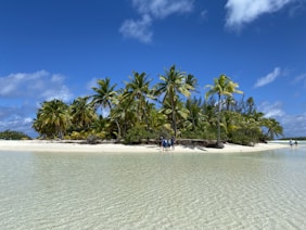 people on beach during daytime