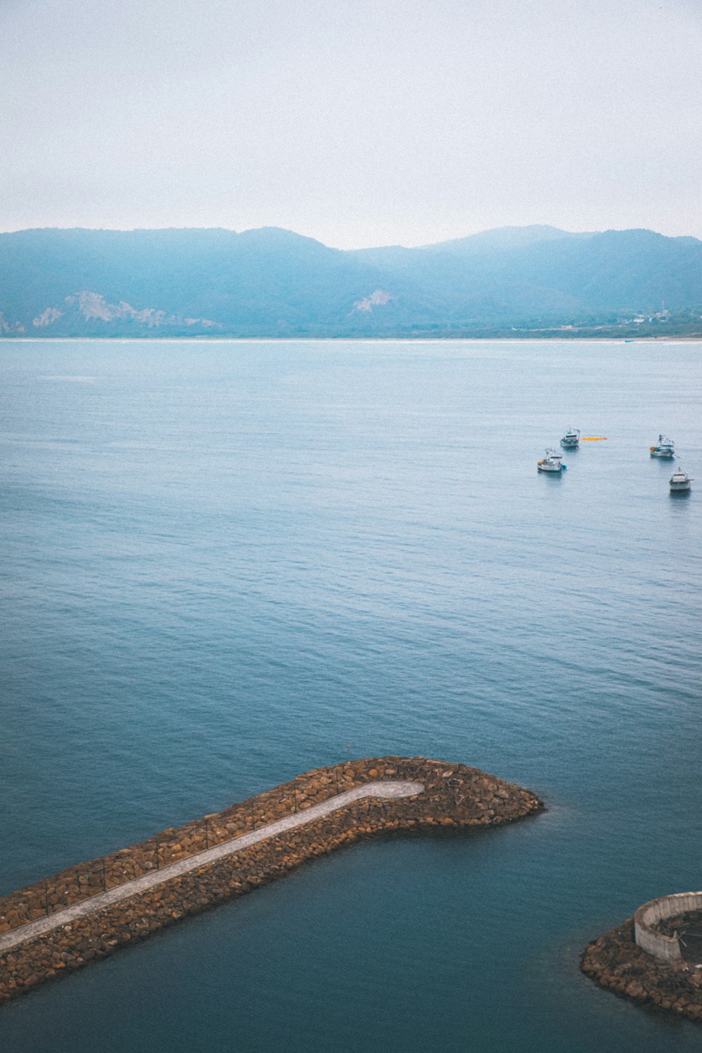 people in sea during daytime