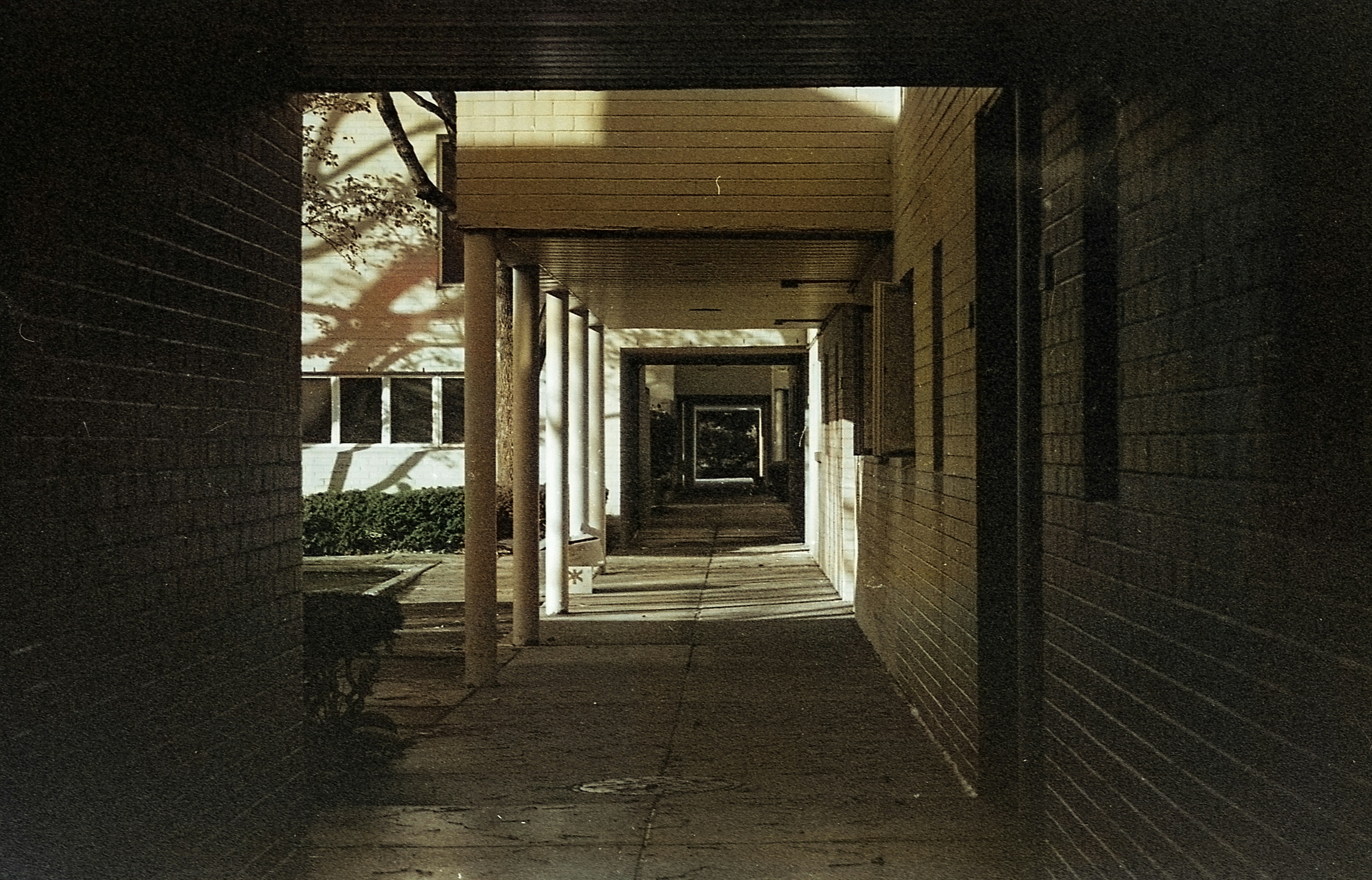 Photo by megindoors