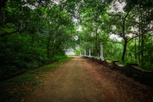 A quiet pathway lined with greenery leading to the wellness centre.