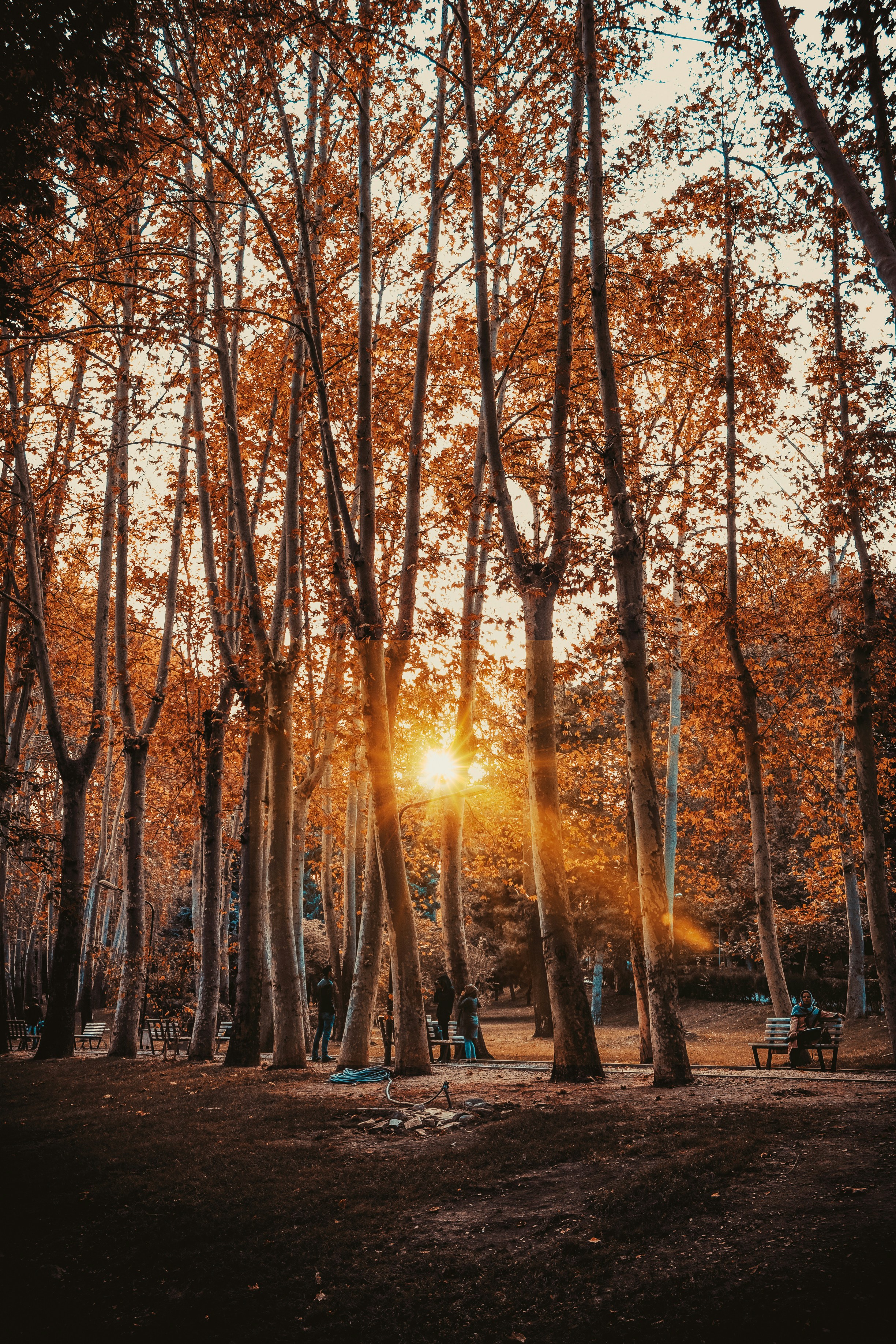 Photo by itsomidarmin