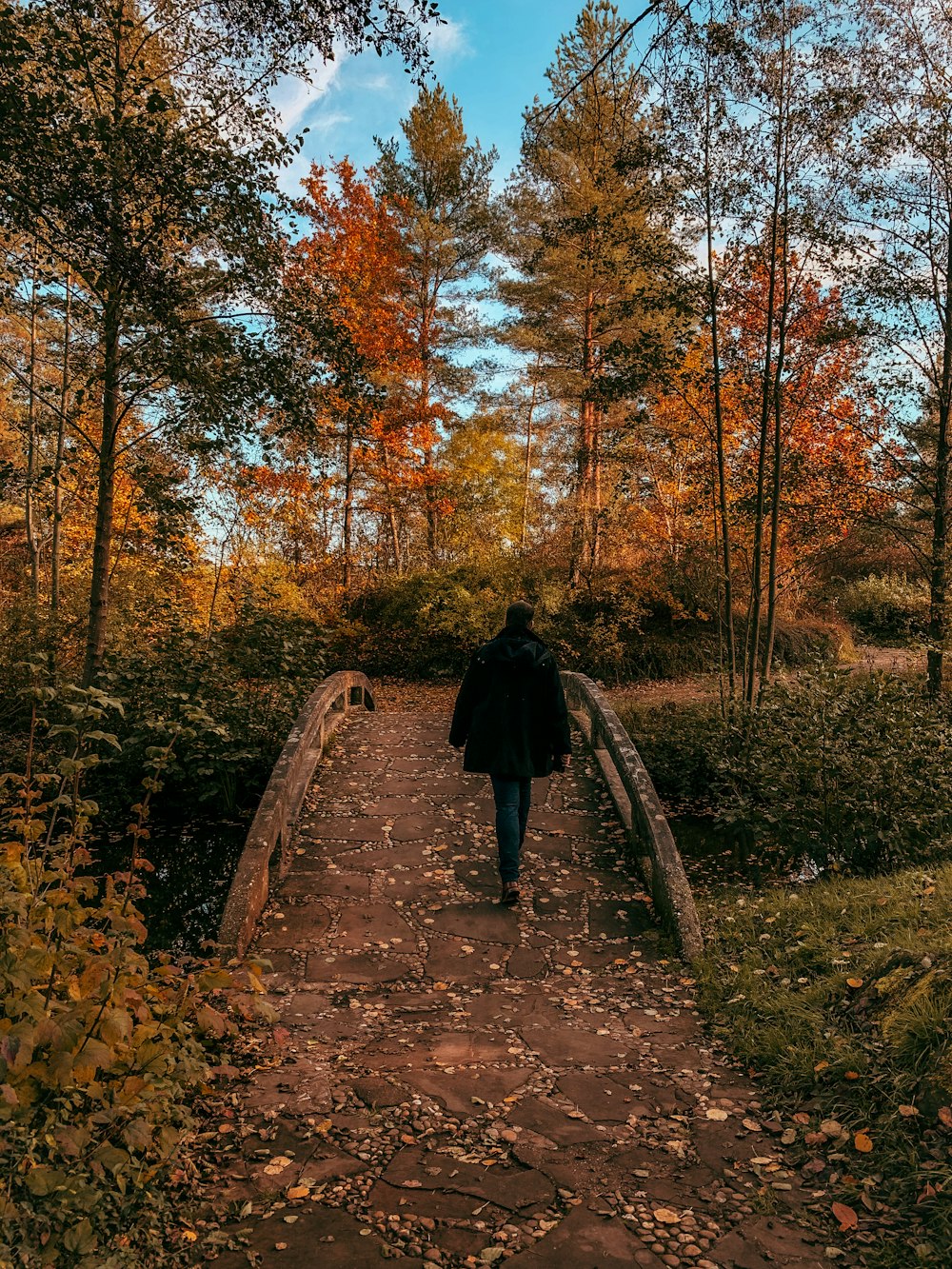 person in black coat walking on brown pathway surrounded by trees during daytime