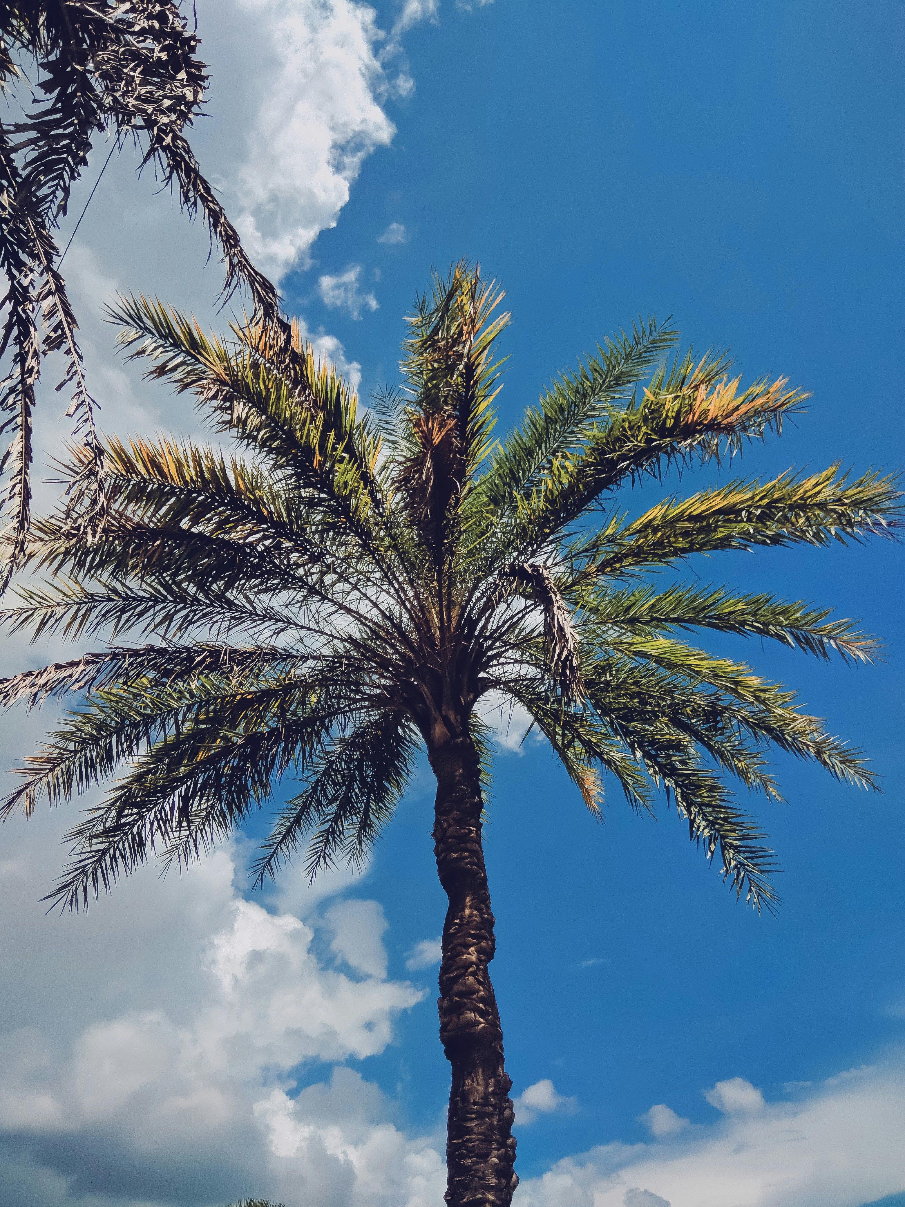 Photo by allauddimiajee