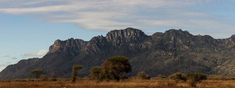 Campo de hierba marrón y verde cerca de la montaña marrón bajo nubes blancas durante el día