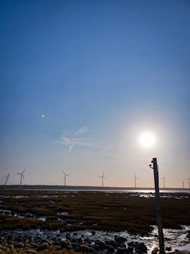 Solar panels and wind turbines set against a clear blue sky on a vast open field.