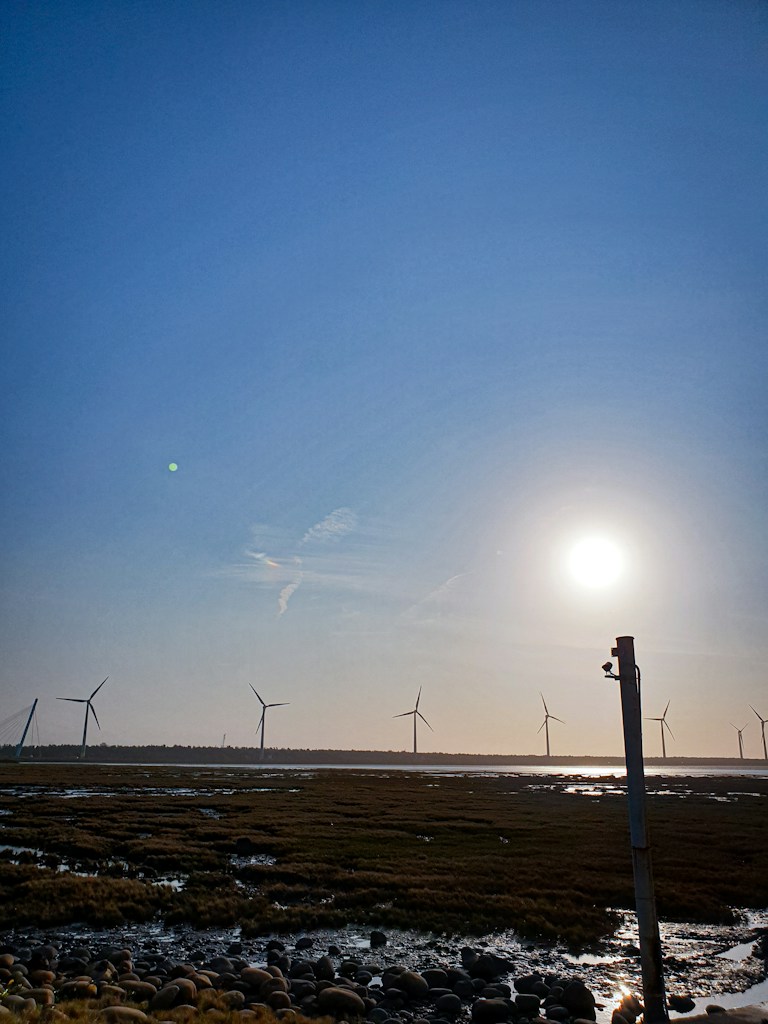 Solar Farm Pump