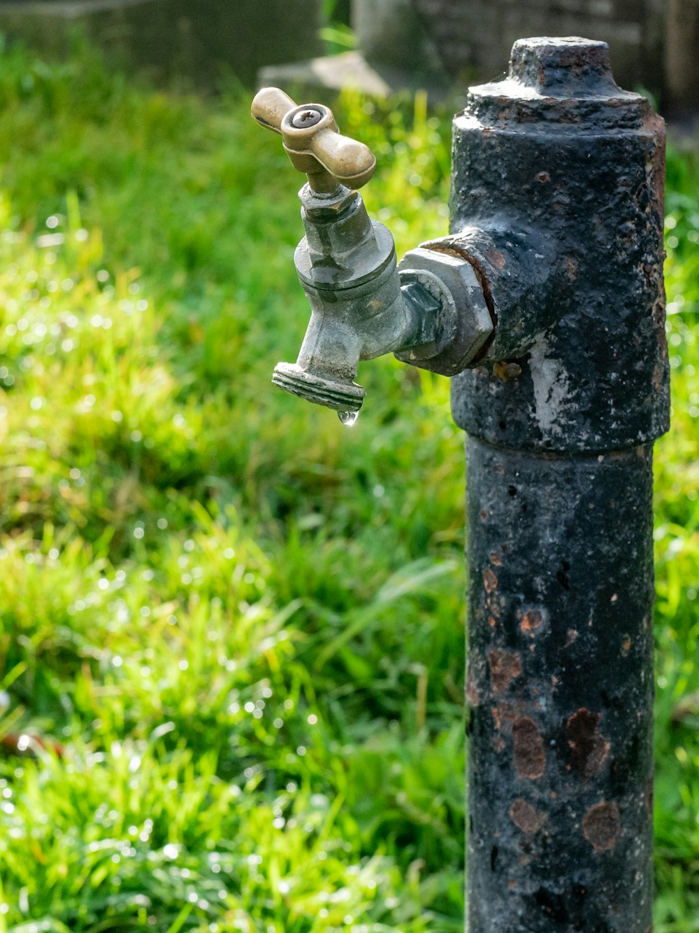 black metal pipe with water dew