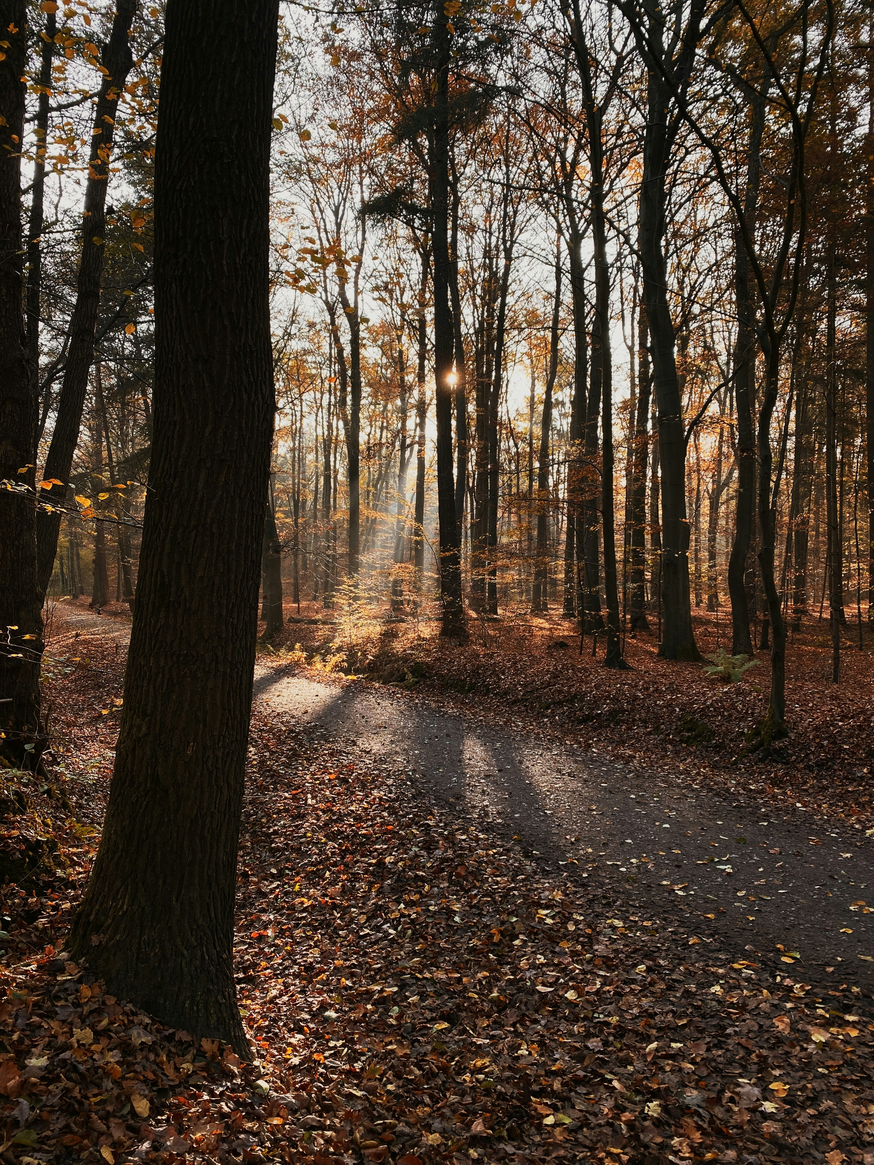 Photo by janhellmerichs