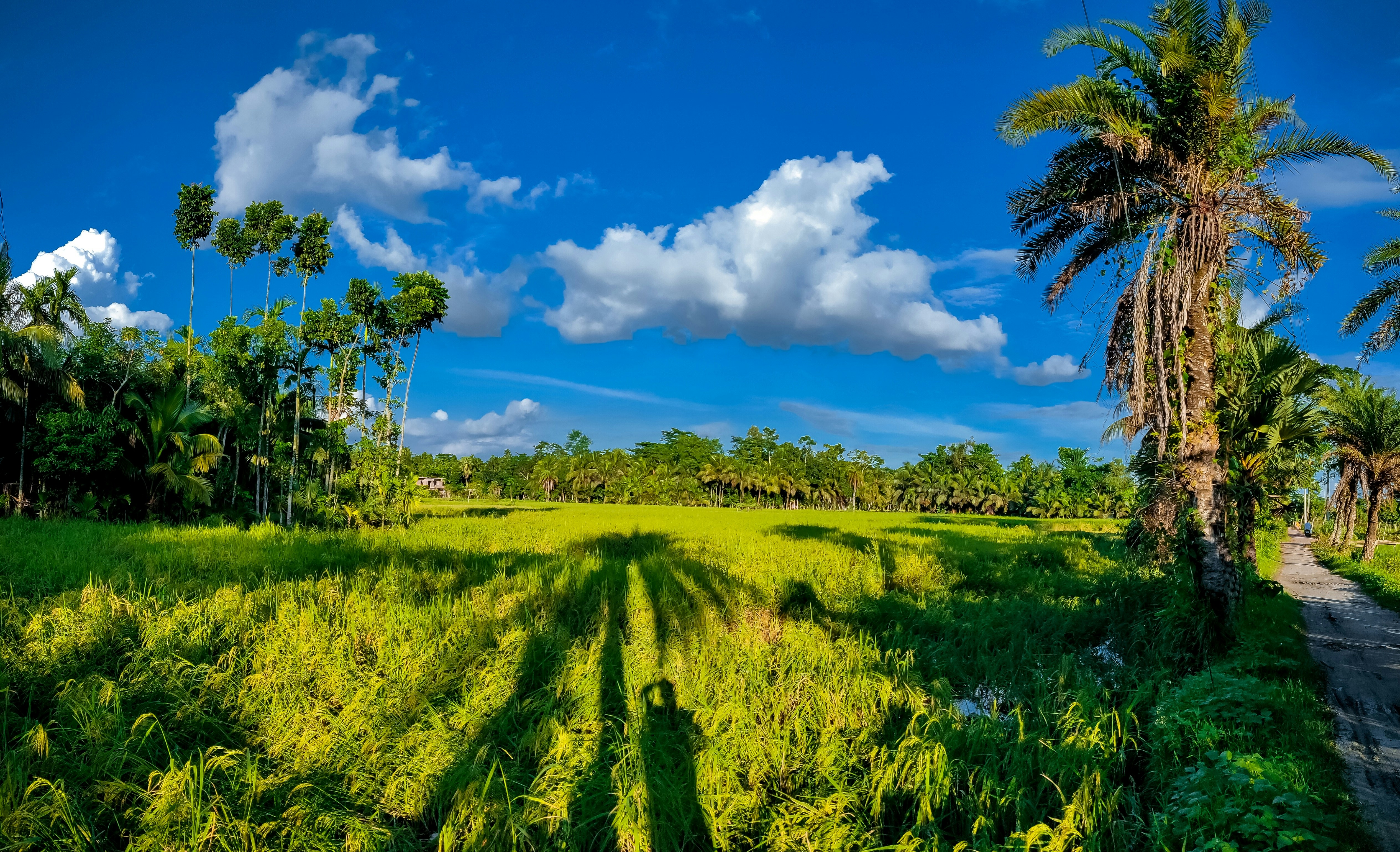 Photo by allauddimiajee