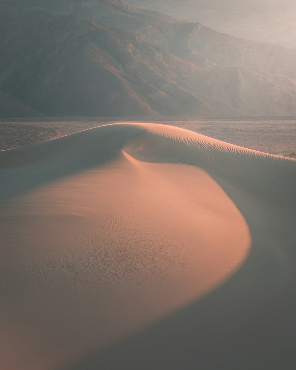 brown sand and body of water during daytime