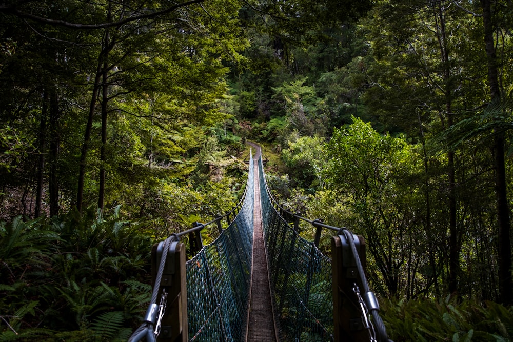 brown wooden bridge in forest during daytime