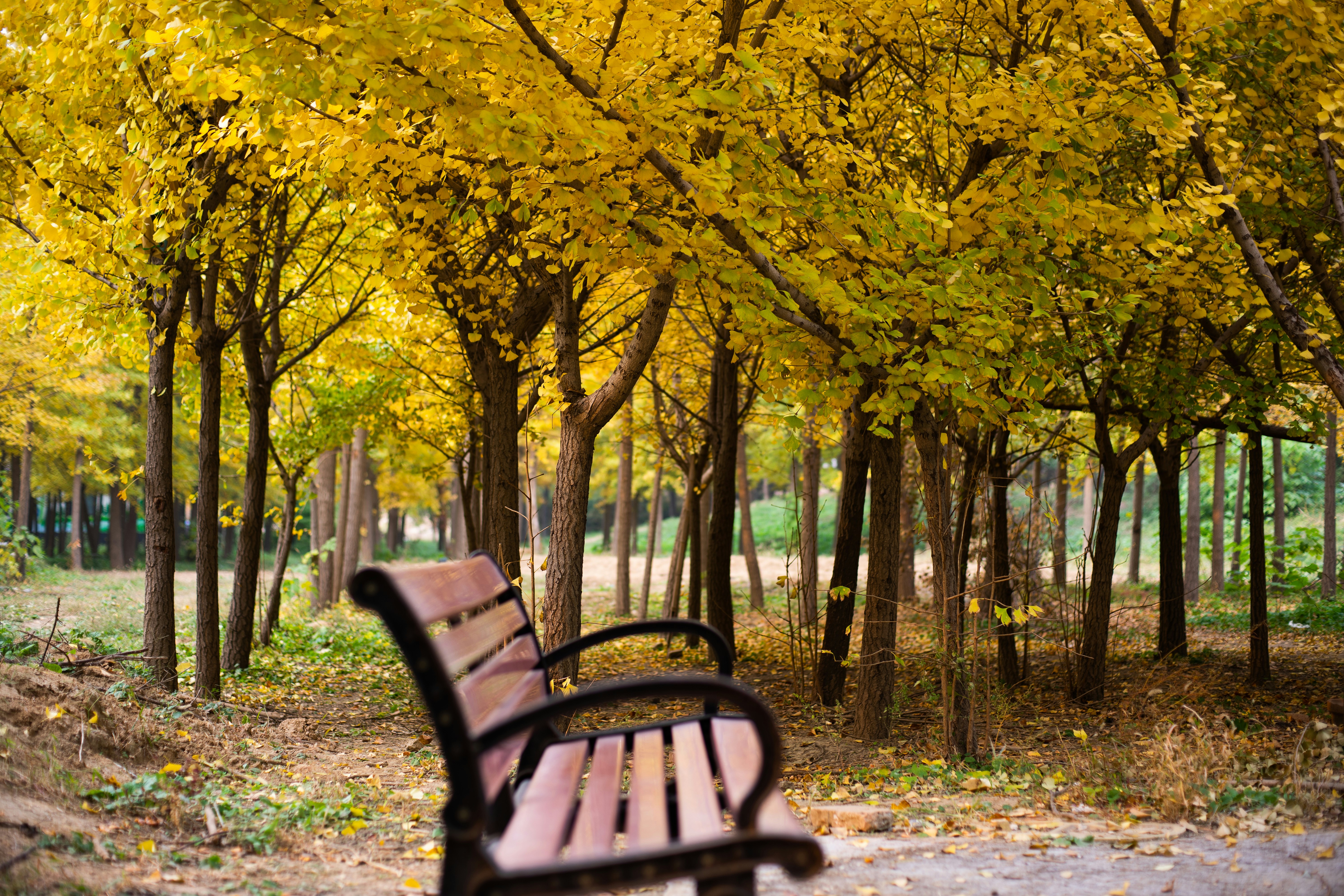 Photo by lipengsunsky