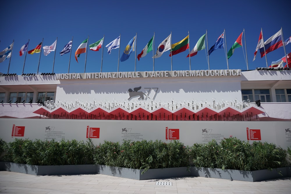 flags on poles on white sand during daytime