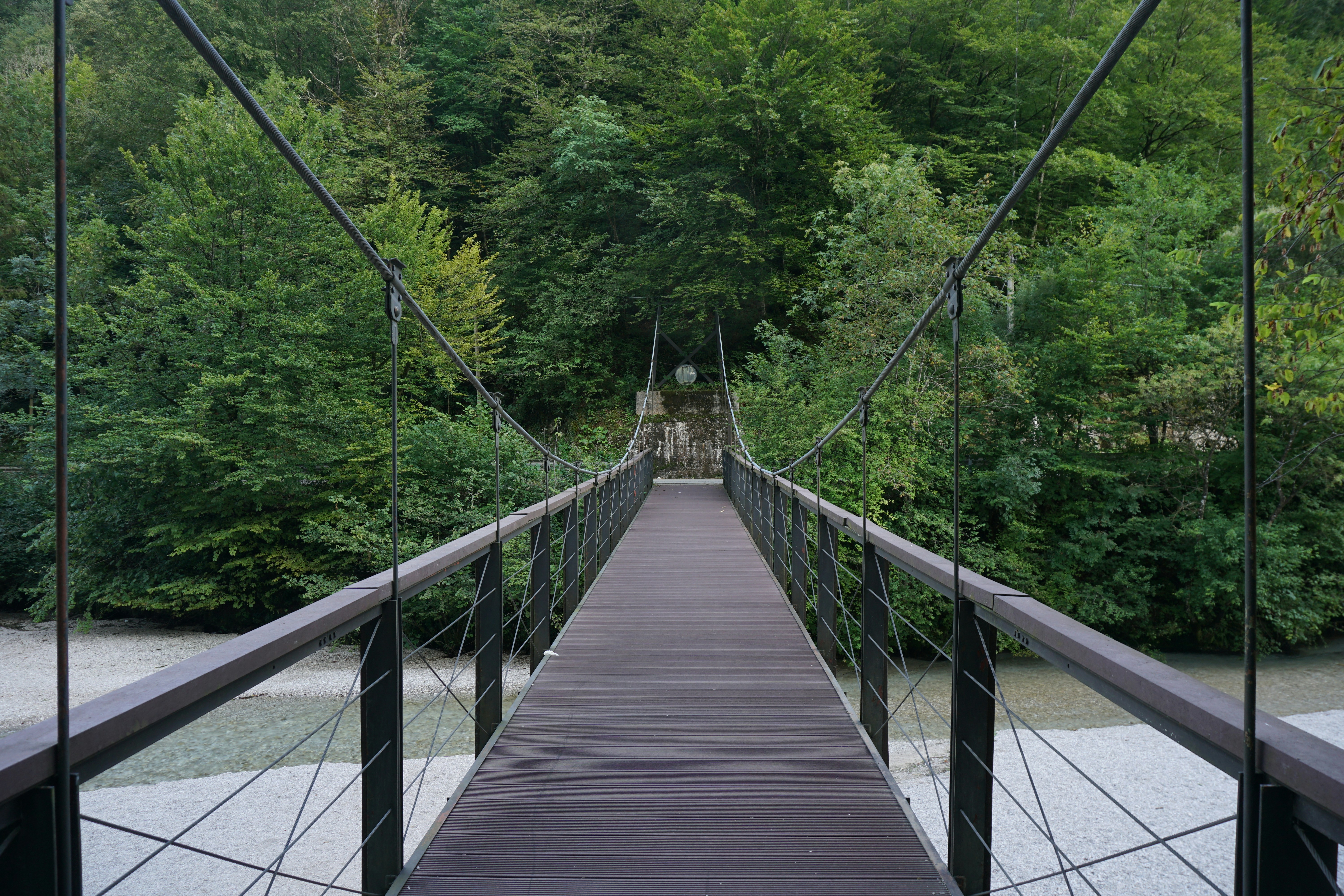 Photo by rickylore24