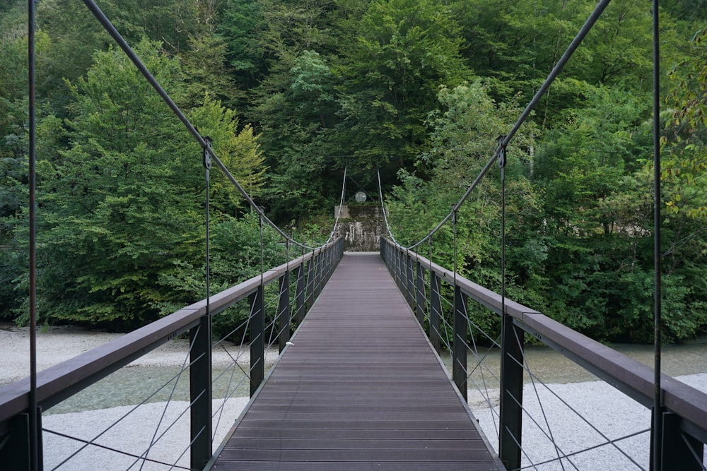 brown wooden bridge in the middle of green trees