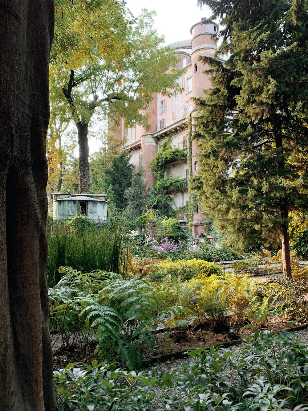 plantas verdes e árvores perto de um edifício de concreto marrom durante o dia