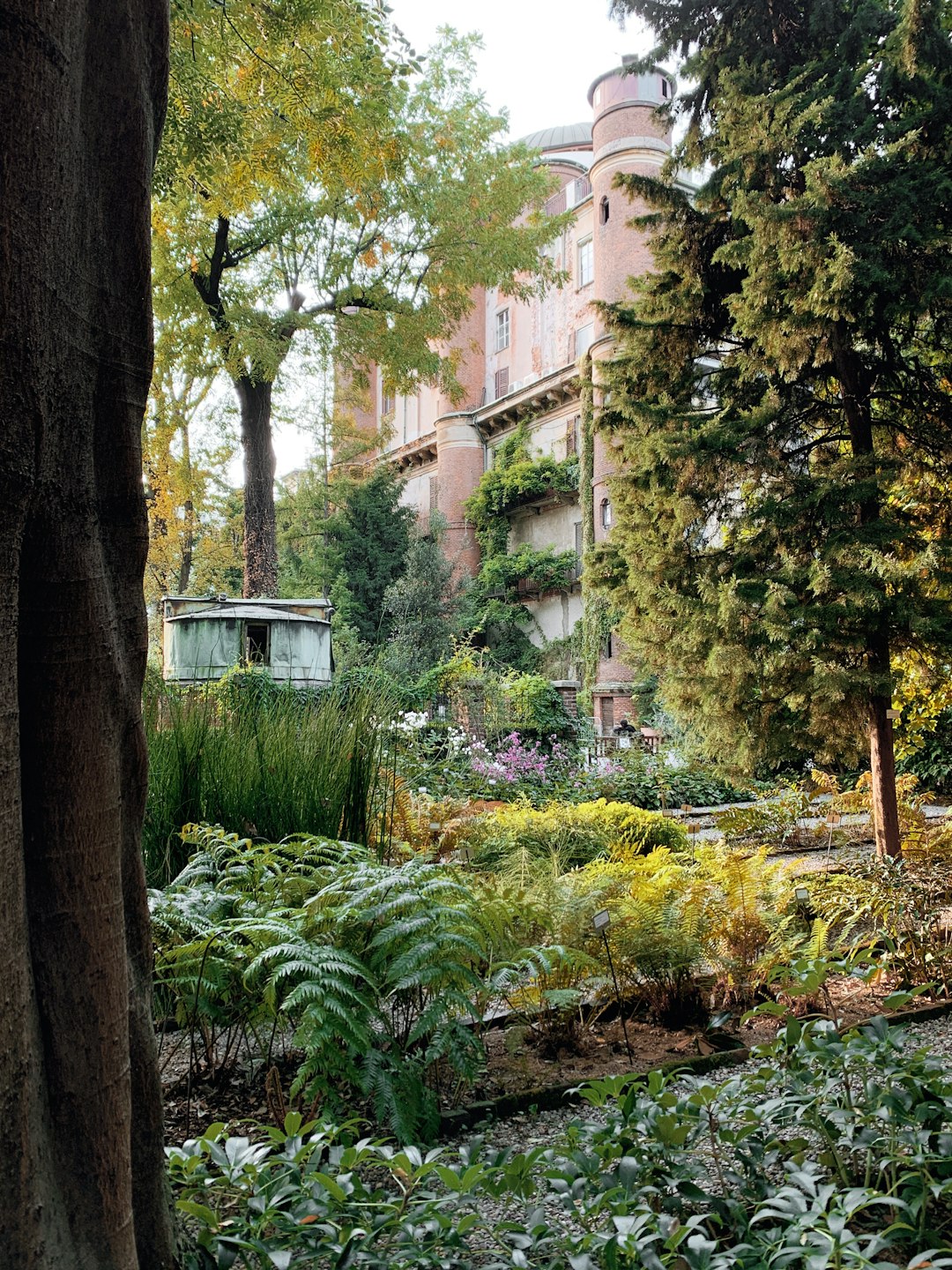 green plants and trees near brown concrete building during daytime