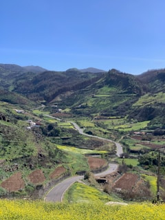 A scenic landscape with rolling green hills, a winding road, and patches of crops. The sky is clear and blue, creating a vibrant backdrop. Small clusters of houses are visible in the distance, nestled among the hills. The foreground features fields of yellow flowers and various shades of greenery.