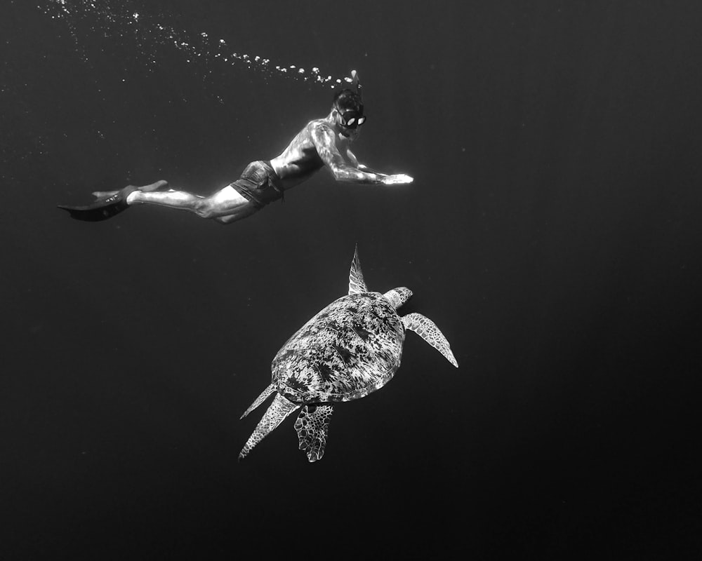 Mujer en bikini blanco y negro nadando en el agua