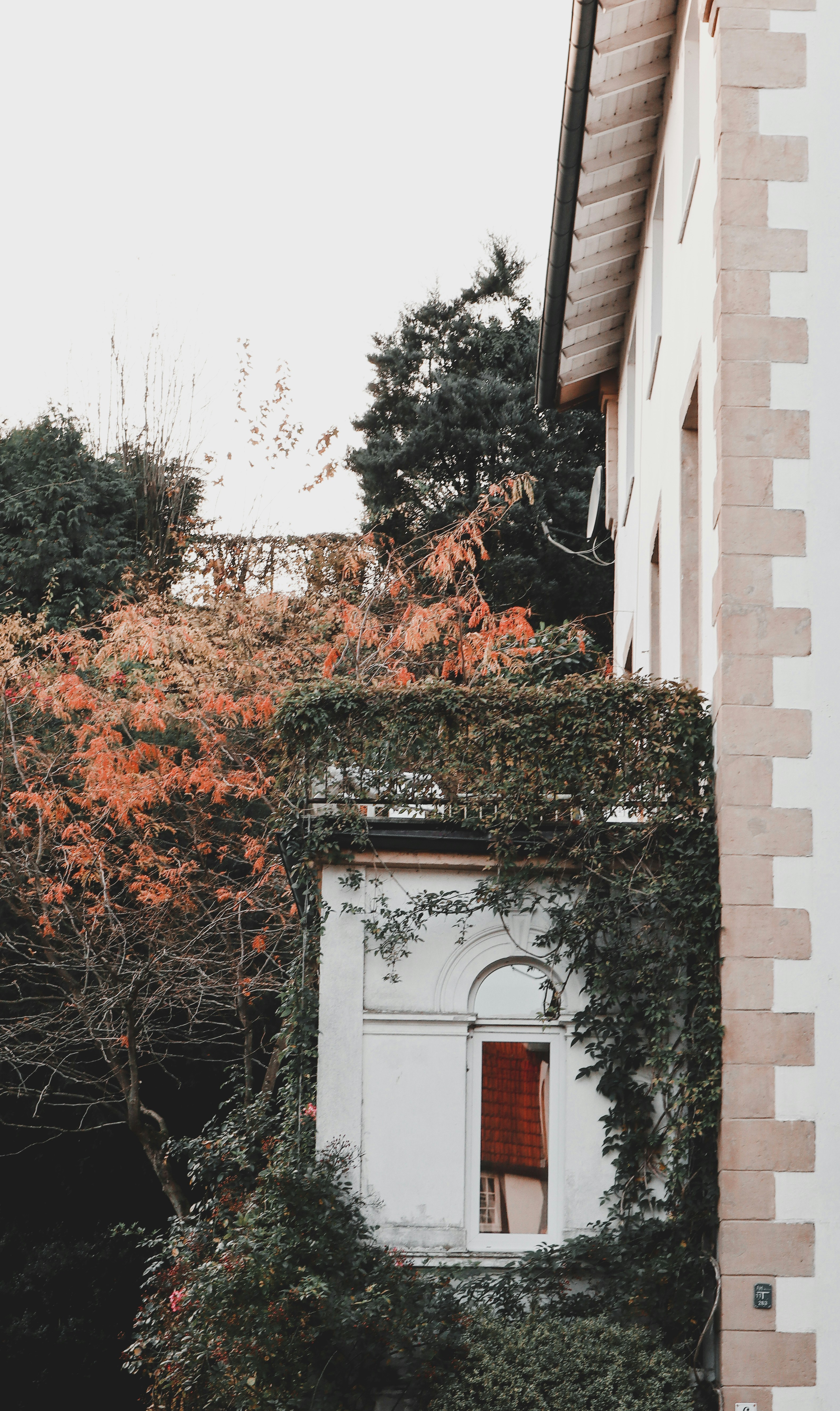 Photo by leakatharinafr