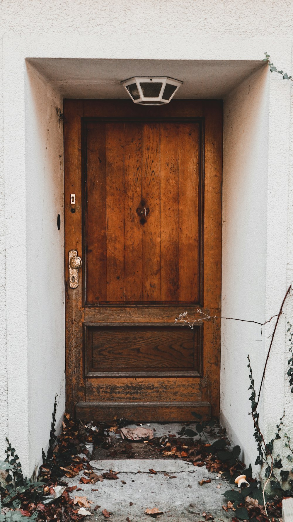 brown wooden door with brass door knob