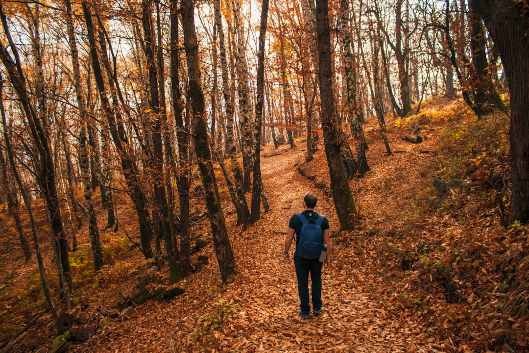 man in blue jacket walking on forest during daytime