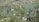 A dense array of wildflowers and grasses of various colors and sizes covers the natural landscape. Predominantly green foliage is interspersed with white, yellow, and hints of orange and pink flowers. The scene conveys a sense of lush abundance and biodiversity in an untamed outdoor setting.