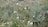 A dense array of wildflowers and grasses of various colors and sizes covers the natural landscape. Predominantly green foliage is interspersed with white, yellow, and hints of orange and pink flowers. The scene conveys a sense of lush abundance and biodiversity in an untamed outdoor setting.