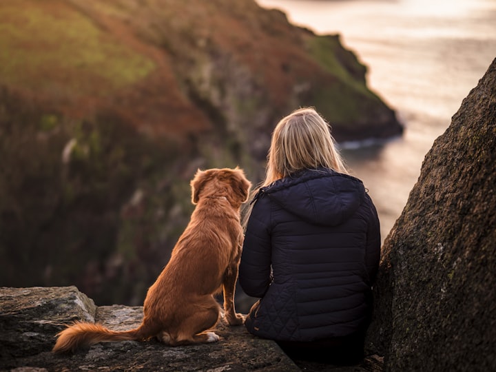 Coping with Grief After Losing a Dog
