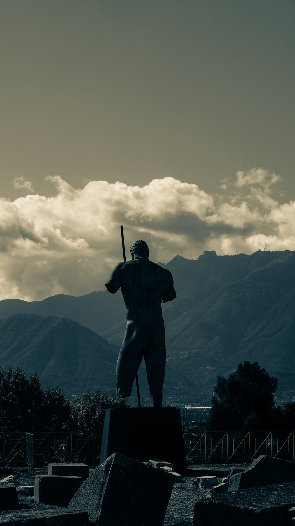 man in black jacket standing on top of mountain during daytime