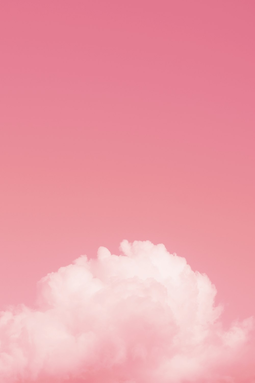 Pink Wallpapers: Free HD Download [500+ HQ] | Unsplash