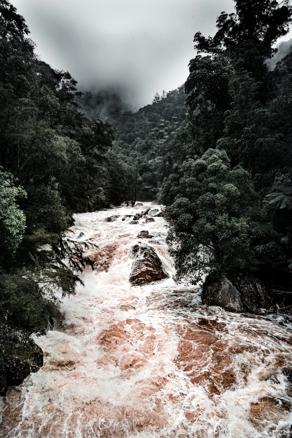 water falls between green trees during daytime