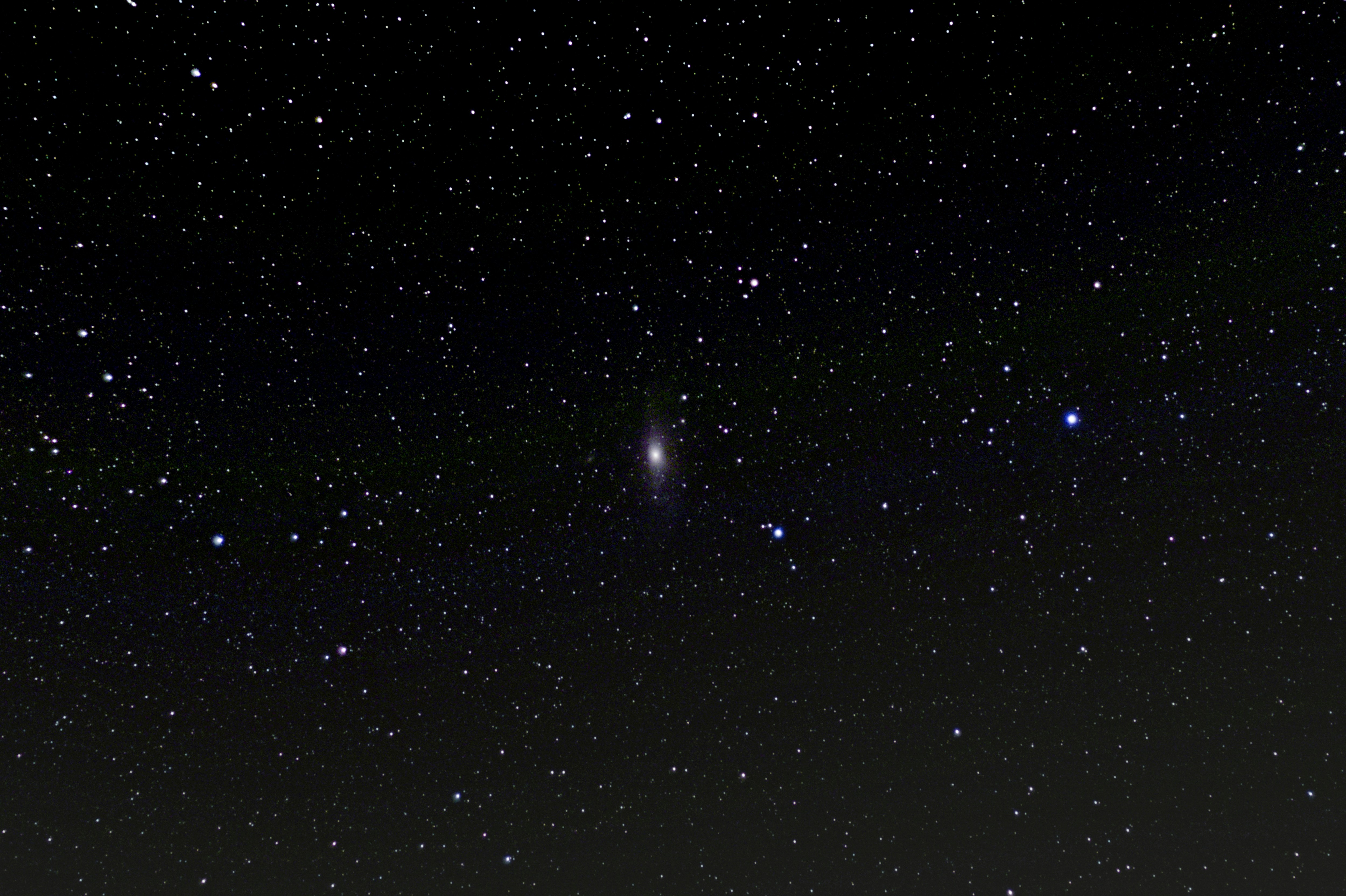 OMarket header image