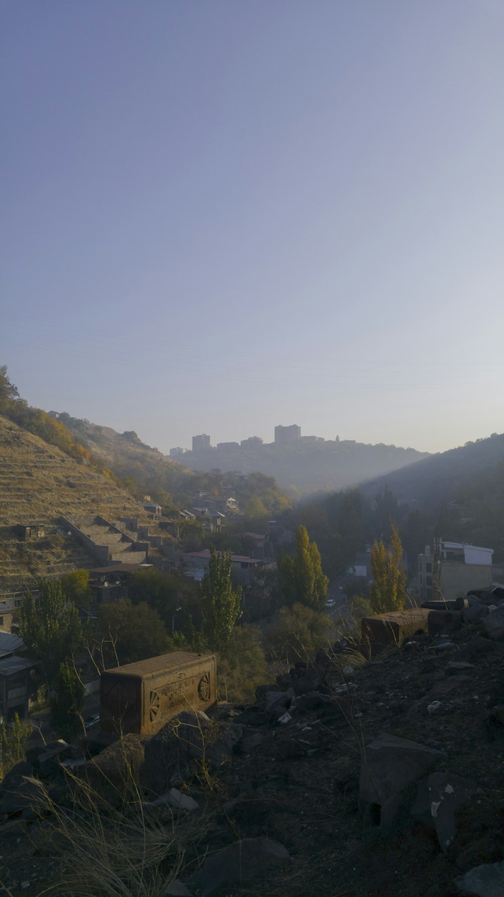 green trees on mountain during daytime