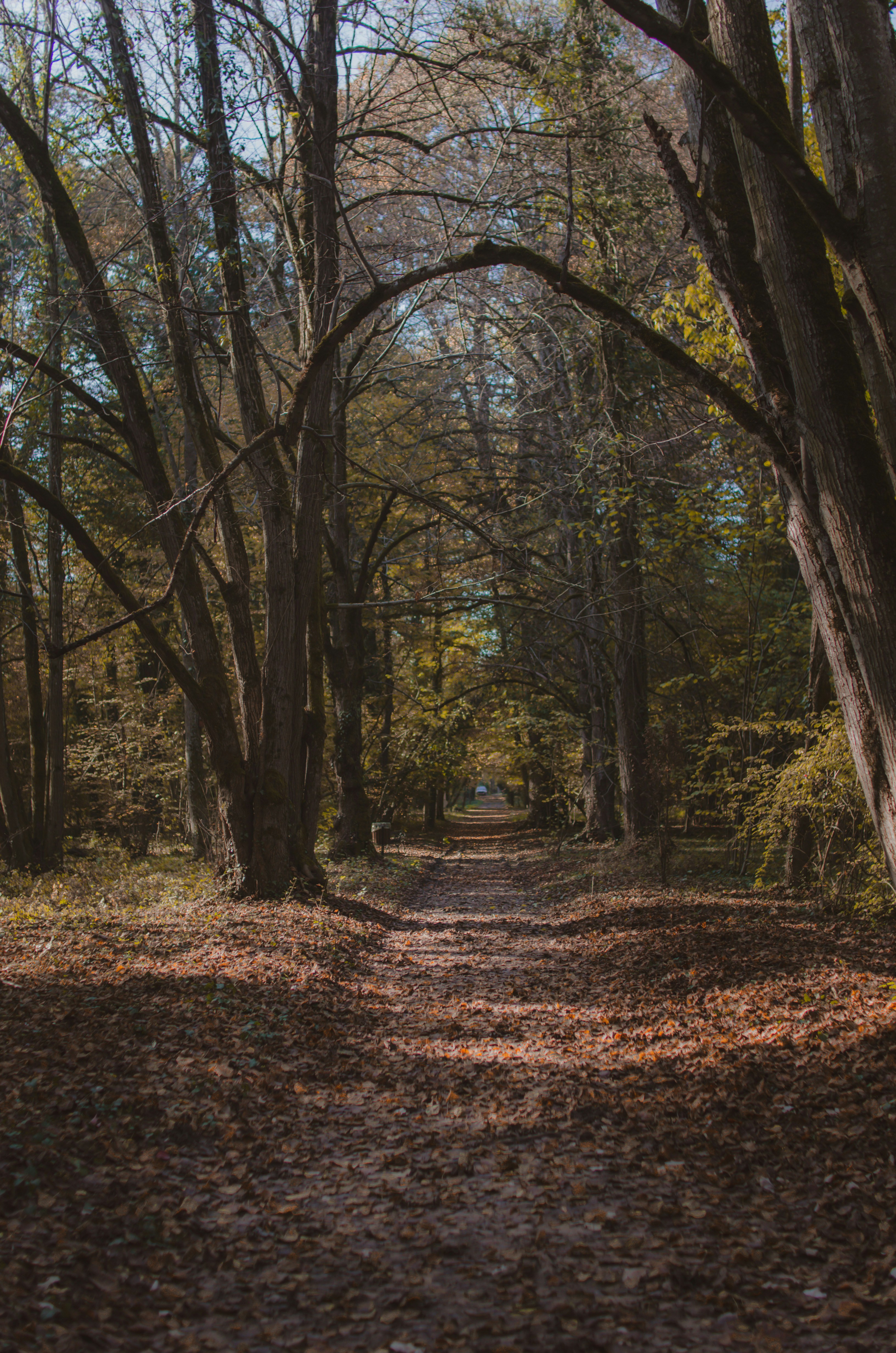 Photo by gamanalice3012