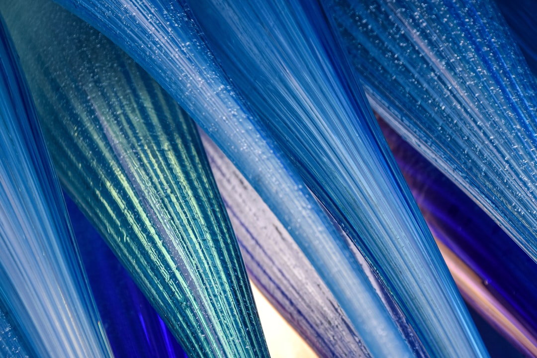 blue and white feather in close up photography