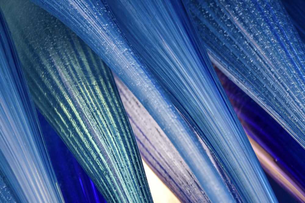 blue and white feather in close up photography