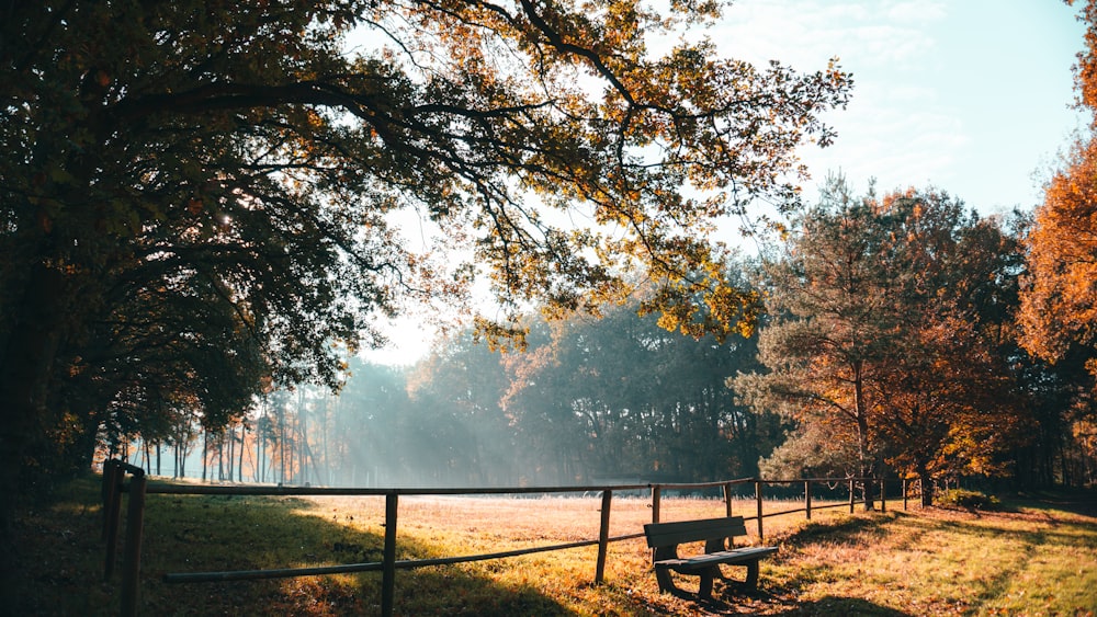 brown wooden bench on green grass field near trees during daytime