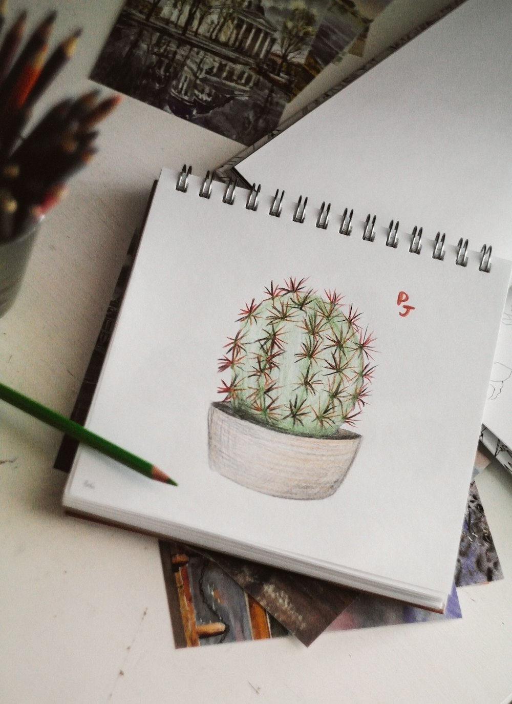 cactus verde en maceta de cerámica blanca