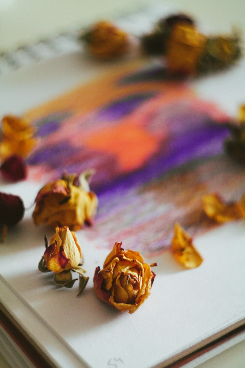 yellow and red flower petals on white surface