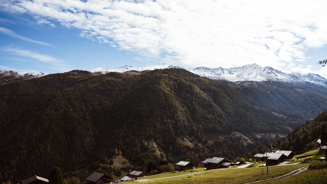 green and brown mountains under blue sky during daytime