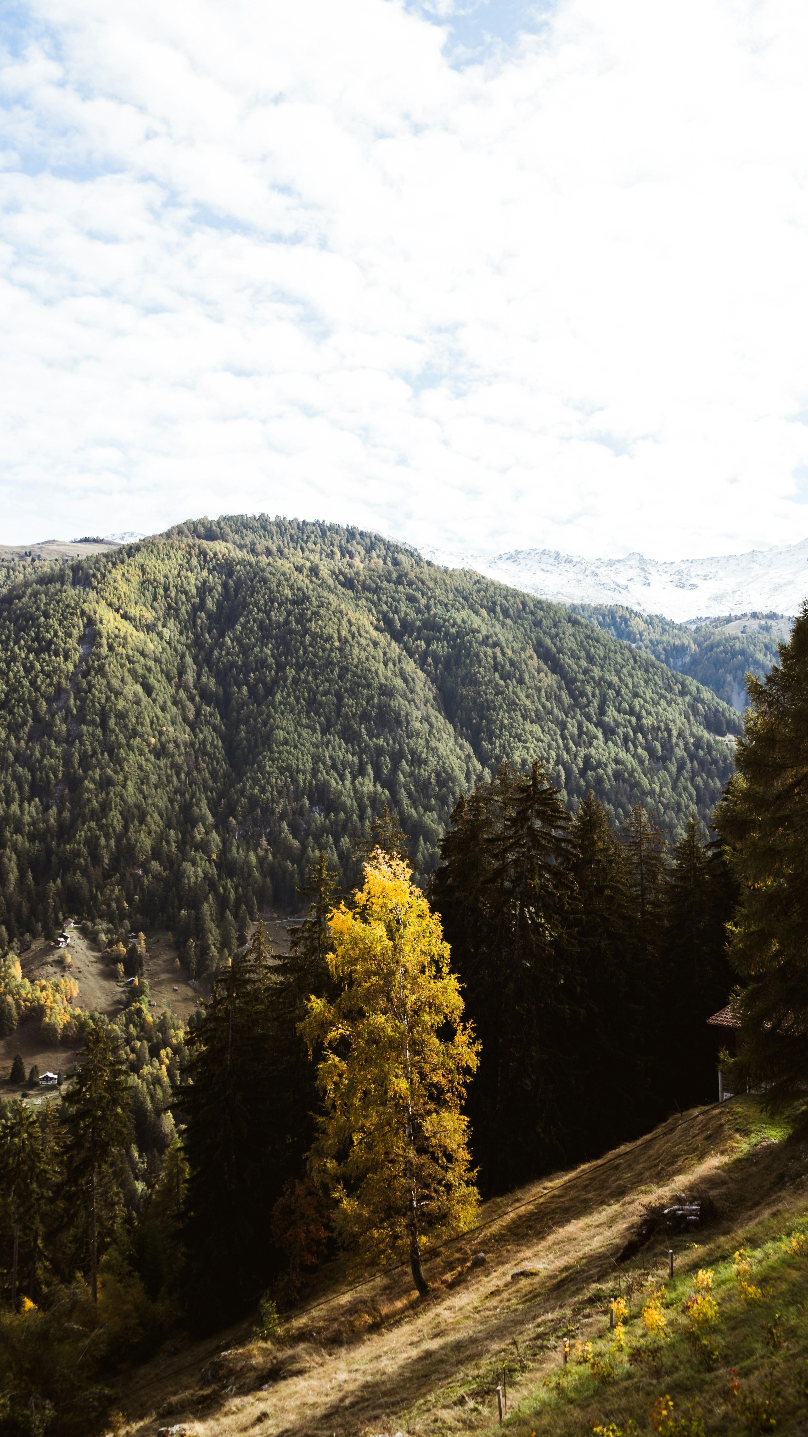 Photo by virussinside