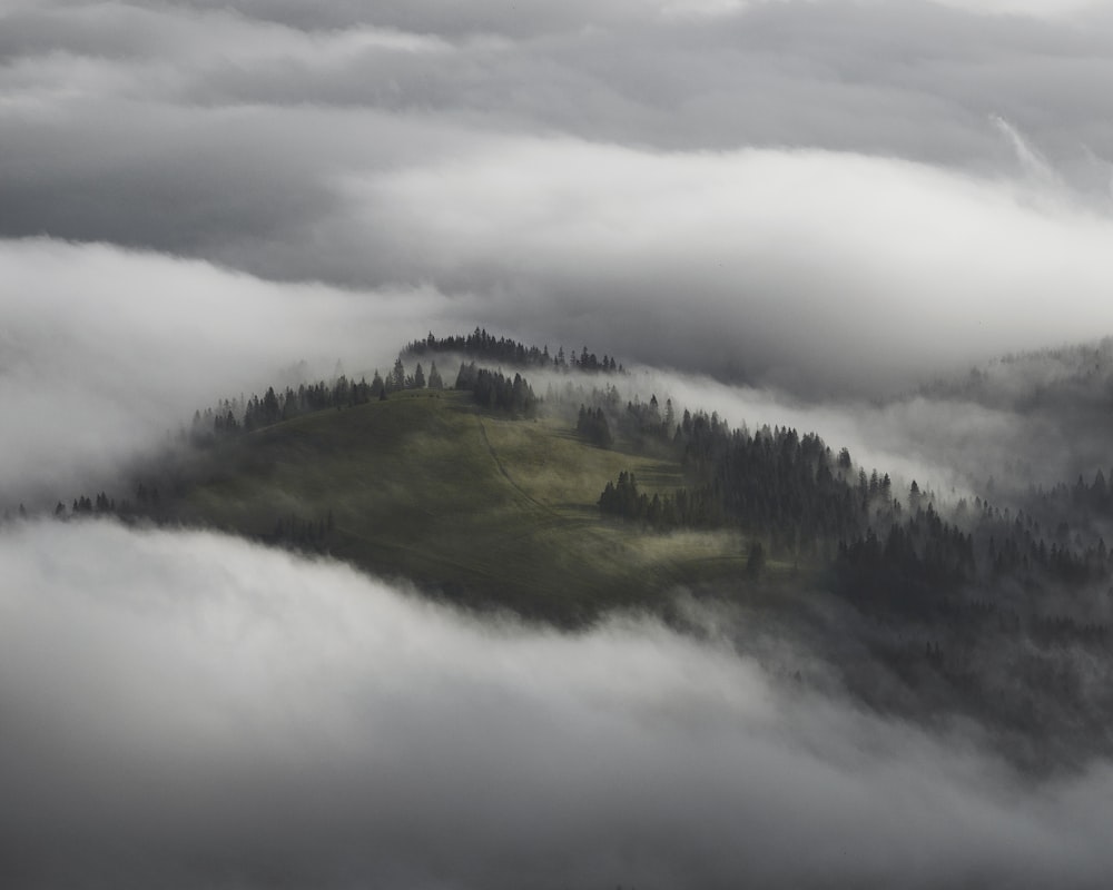 green trees on mountain under white clouds during daytime