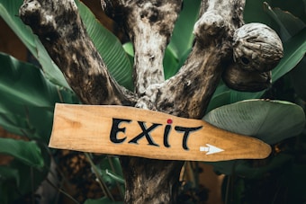 A wooden sign with the word 'EXIT' in bold black letters, attached to a rugged tree trunk with lush green leaves in the background. The sign has an arrow pointing to the right, providing direction.