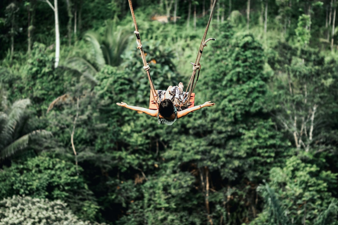 black and brown spider on web