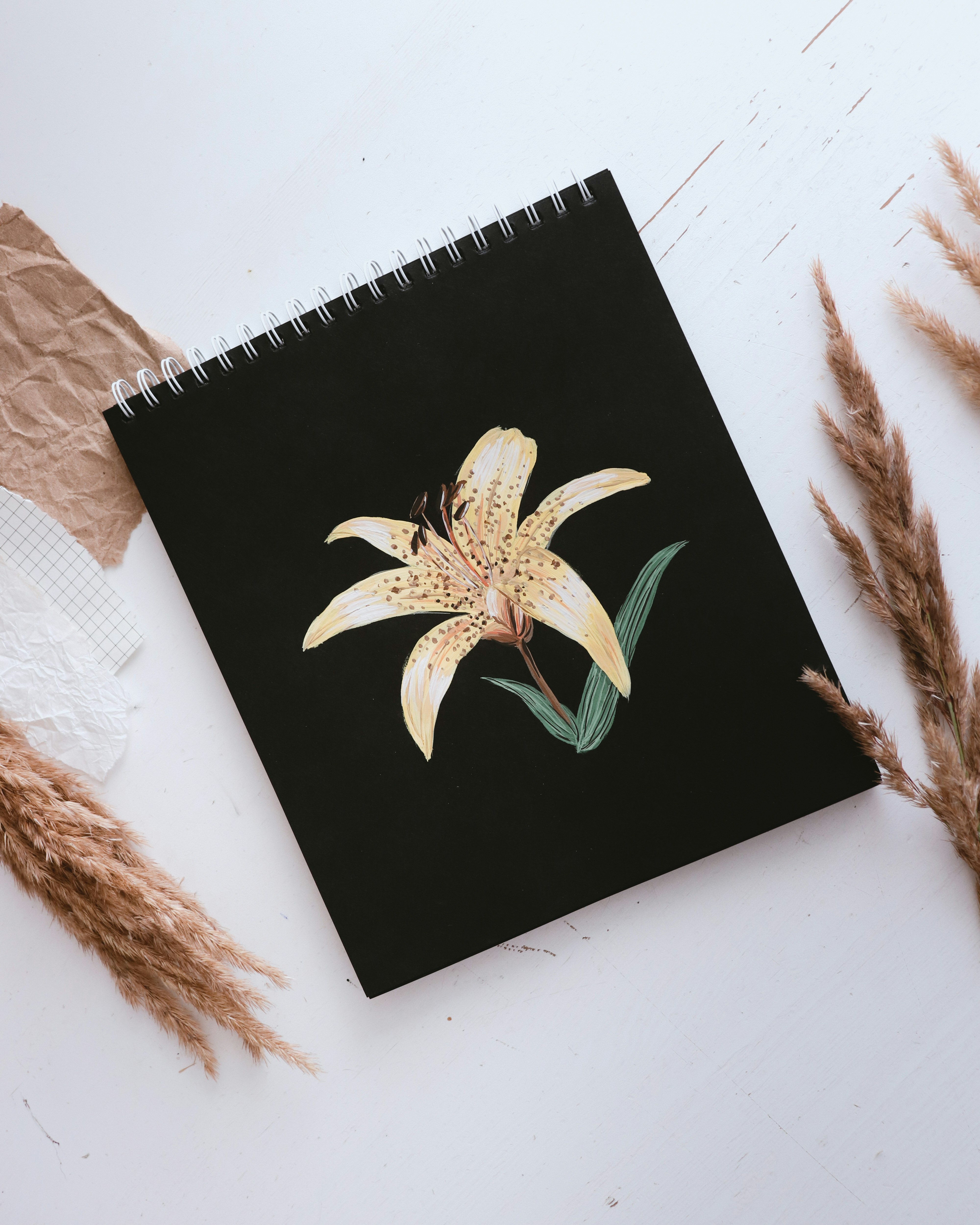 black and gold star print book