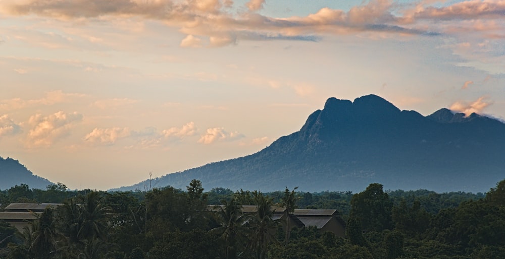 green trees and mountain under white clouds and blue sky during daytime