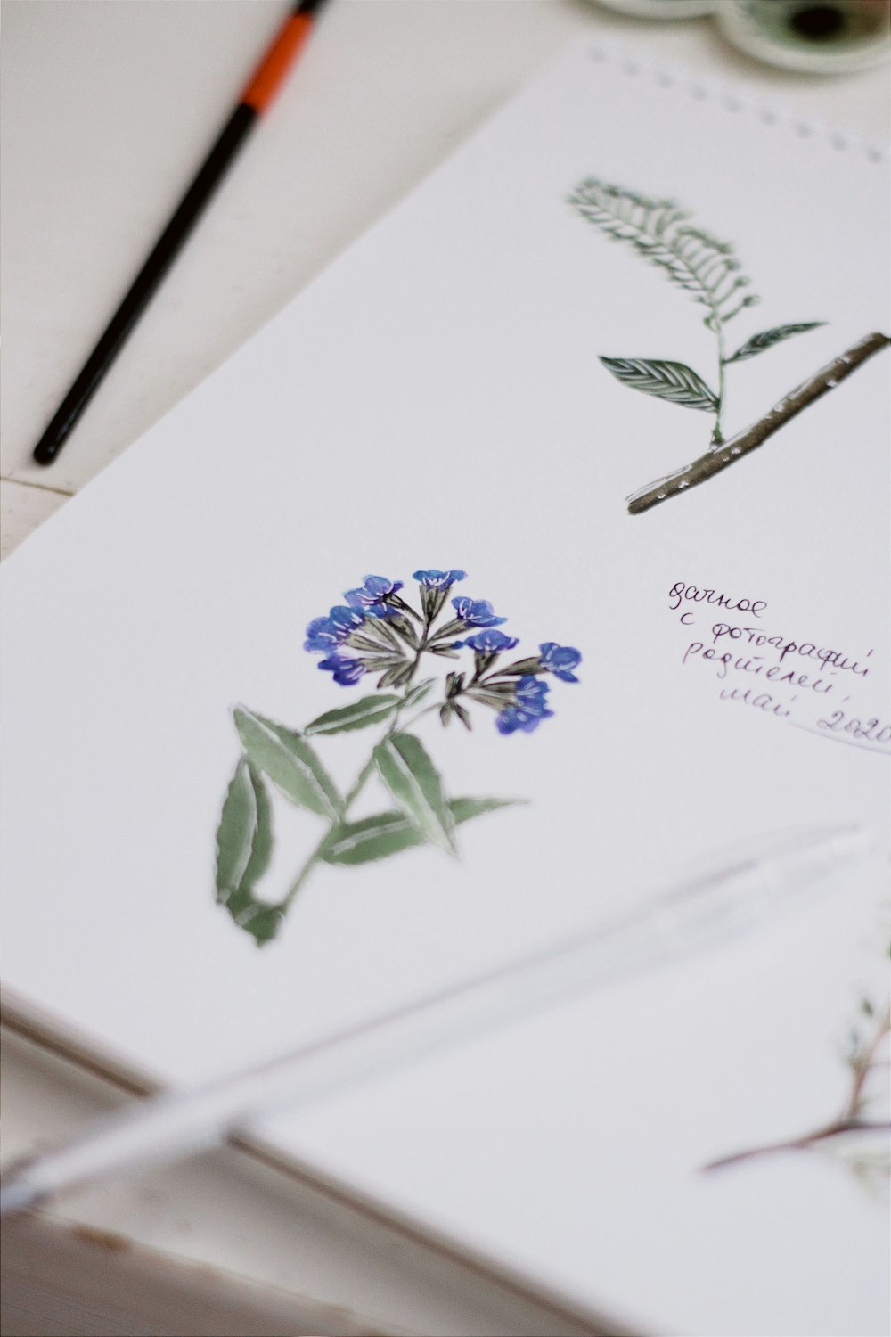 white and blue floral ceramic plate