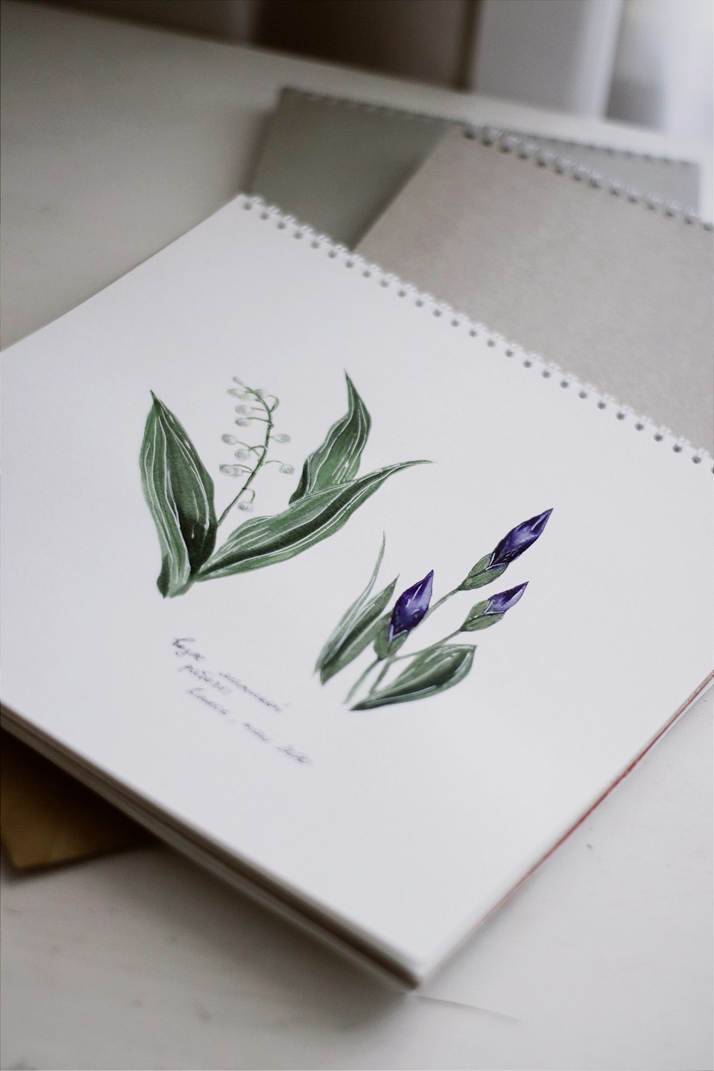 green and purple flower drawing on white paper