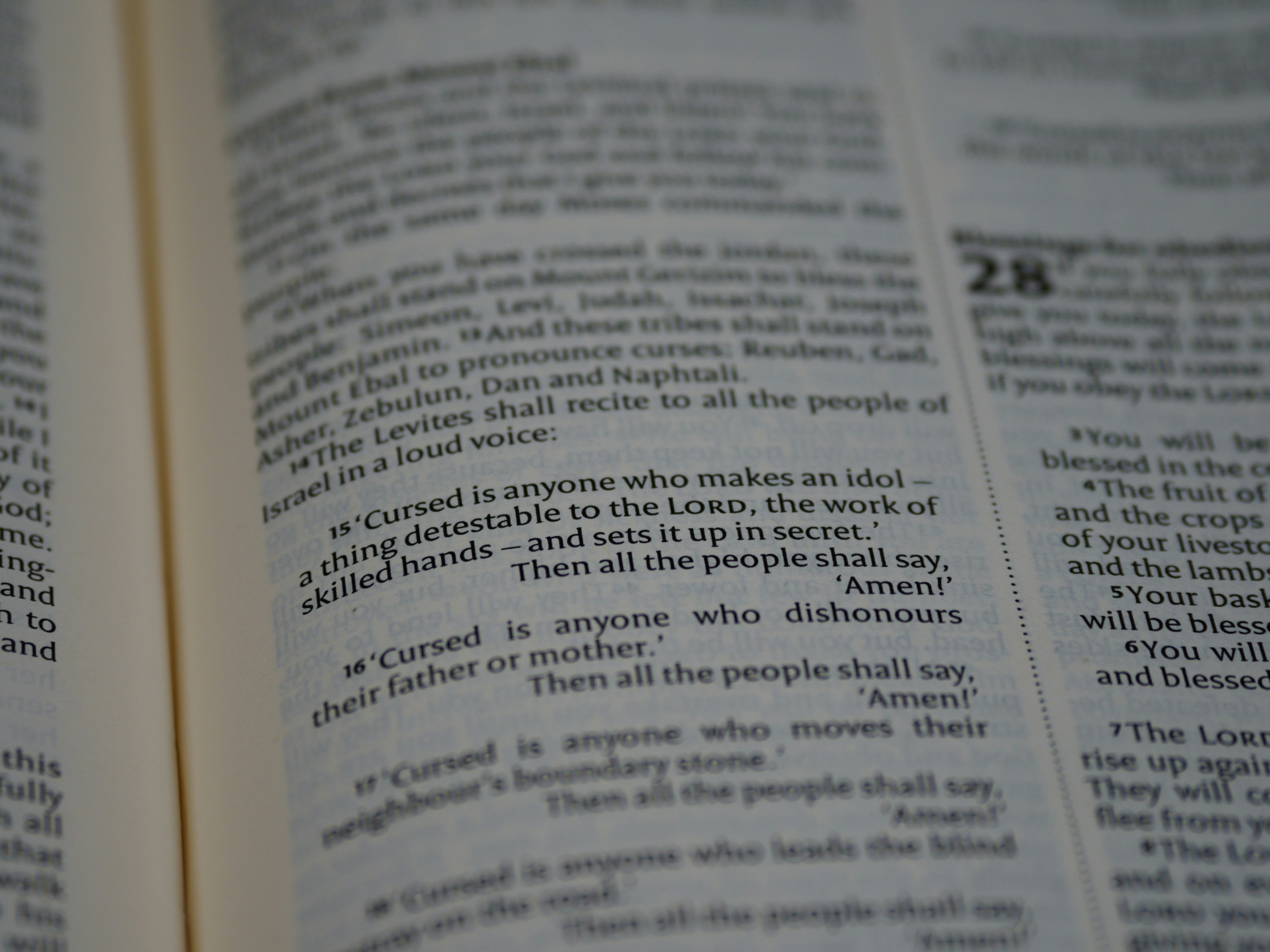 Photo by brett_jordan